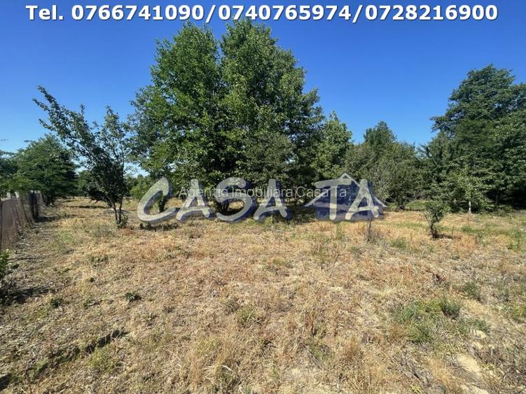 Casa 4 Camere, Parter, Runcu - Baltisoara - 19