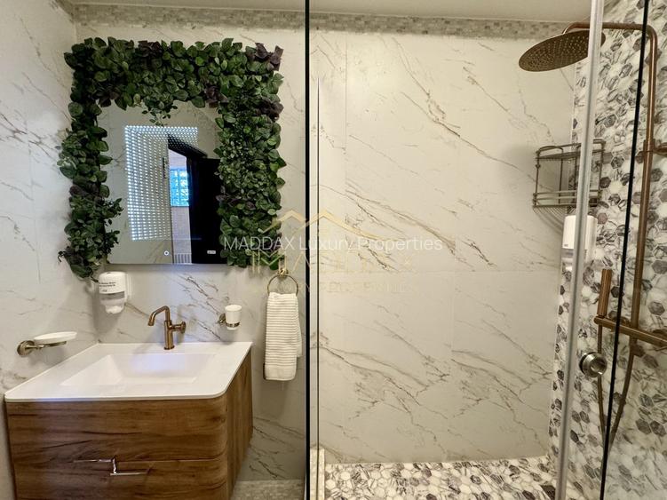 Apartament cu 4 camere / Posibilitate investitie / Arcul de Triumf - 22