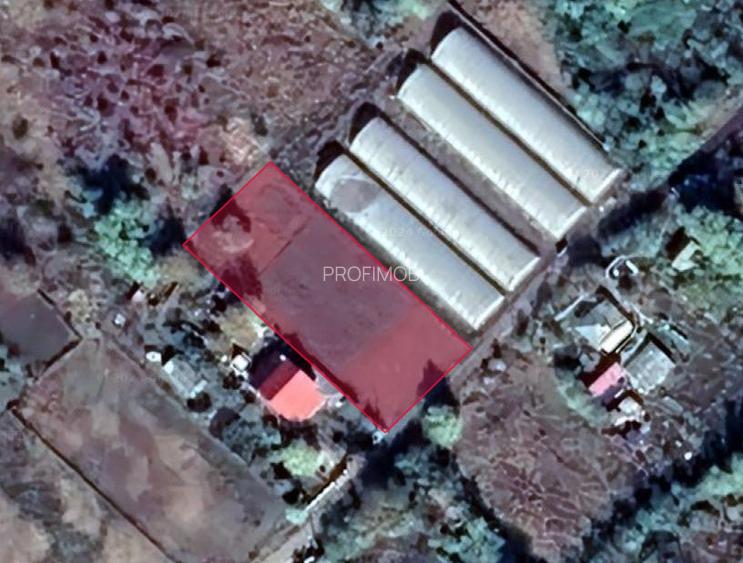 Teren intravilan , liber , zona linistita , civilizata , 40 km de Bucuresti - 6