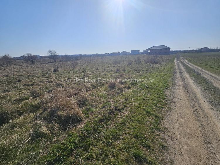 Parcele Manastire SAG - PUZ / Utilitati !! - 8