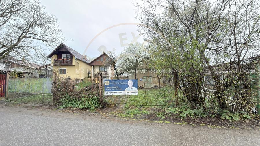 De vânzare 2 Case de vinificație cu Teren 4108 mp - Grădina Viilor - Carei - 20