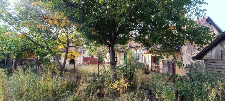 🏡  Casă de Poveste în Șiria, Arad- Locație Rară - 16