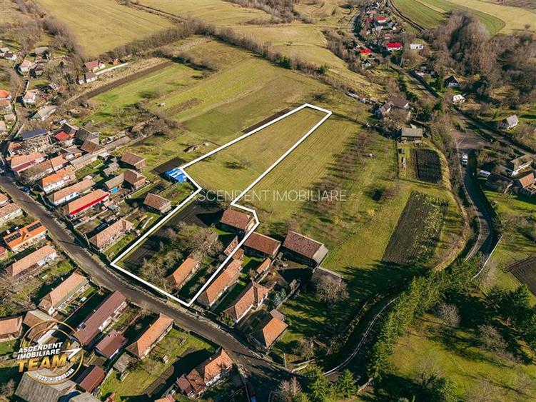 FILM! Casa si anexe, pe domeniu de 6.221mp,  livada pomi fructiferi, Lemnia, Cov - 8