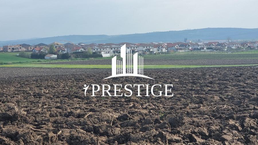 TEREN DE VÂNZARE ȘURA MICĂ 10.000 MP | 2 FRONTURI STRADALE, INVESTIȚIE - 11