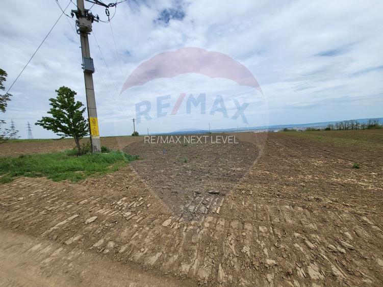 Teren in Magura/Bacau de vanzare - 2