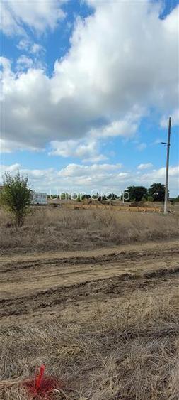 Viitorul Tau Incepe Aici - Teren de 614 mp in Viile Noi - 3