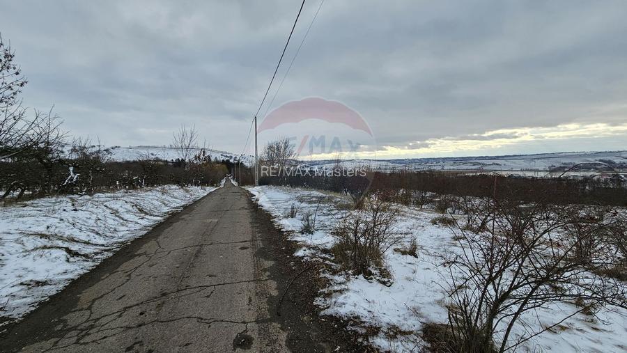 Teren 10,000mp Radaseni / Soseaua DN2-E85, judetul Suceava - 5