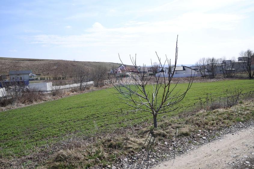 Teren 3,500mp Moara / Strada Pprincipala - 3