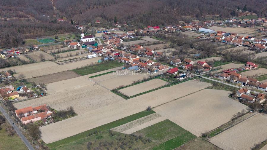 Loc de casă în Odvoș - Conop 3000mp - 23