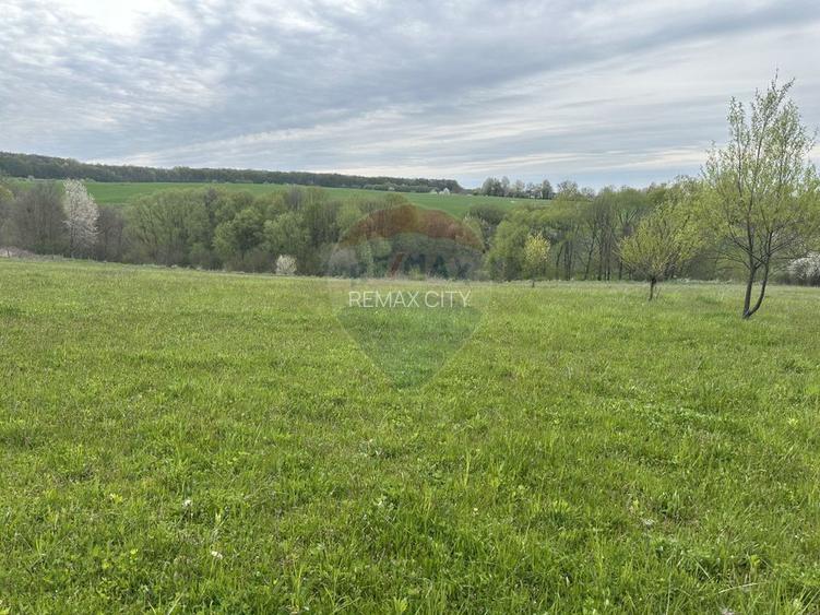 Teren 3,000mp Oslobeni / Strada Oslobeni punct GRADINA - 2