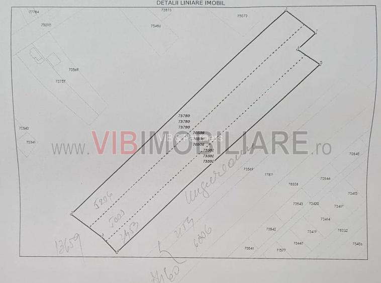 Racari - Teren - 13659 mp - intravilan - constructii - 4