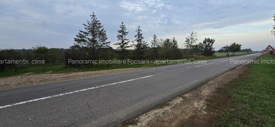 LIVADA  DE VANZARE FOCSANI-DUMBRAVITA  1,8  HA - 24
