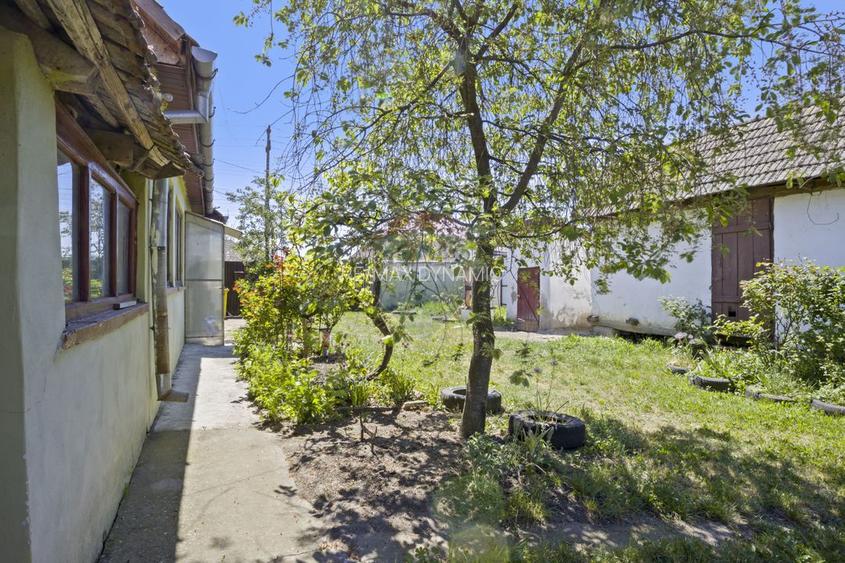 Casă în Pecica cu 1174 mp teren, zonă liniștită - 4