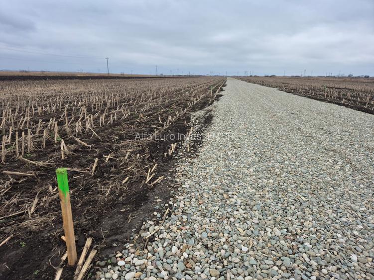 Teren intravilan 500mp in Brasov - 2