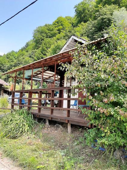 Proprietate pe Valea Vâlsanului – Cabane din lemn + Casă ecologică COB - 7