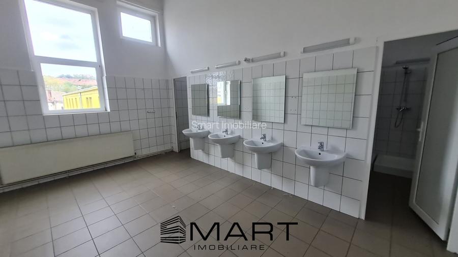 Spatii de inchiriat &acirc; Depozitare | Productie | Birouri Cisnadie - 11