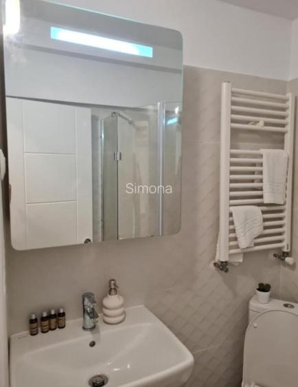 Garsoniera, Baneasa, Somesu Rece - 8