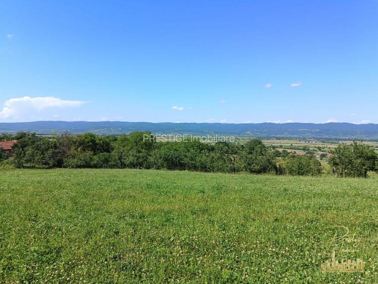 Teren extravilan 9093 mp de vanzare in Josani, com. Magesti - Bihor - 8