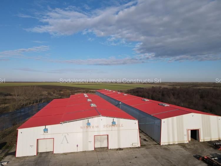 Hale depozit-productie industriala la 20 km de TM - 12
