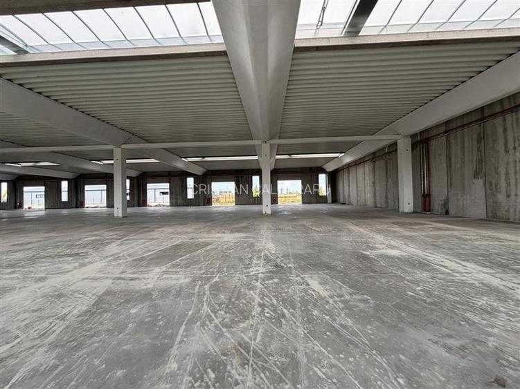 Vanzare depozit/spatiu industrial/hala Chitila - Rudeni, ILFOV - 10