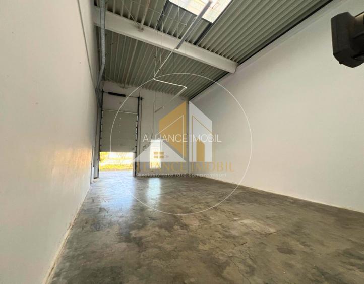 Spațiu industrial cu utilizare mixtă(producție ,depozit, birouri) – de închiriat - 6