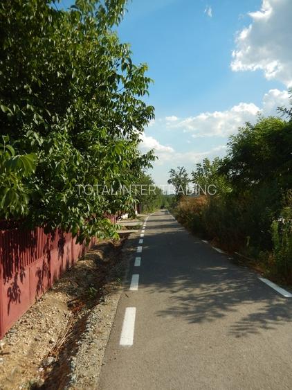 Calugareni-Branistari-casa 4 camere, teren 1965 mp, curent, put, libera,69900 € - 7