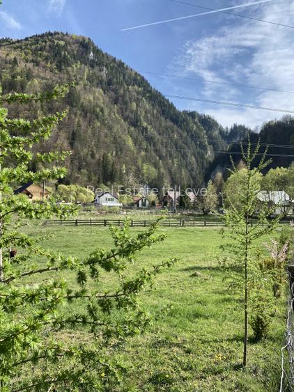 Teren panoramic insorit, utilitati, panta mica si padure, turism sau vacanta - 5