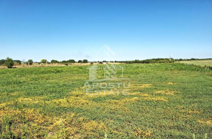 Teren, intrarea in Zadareni - 4