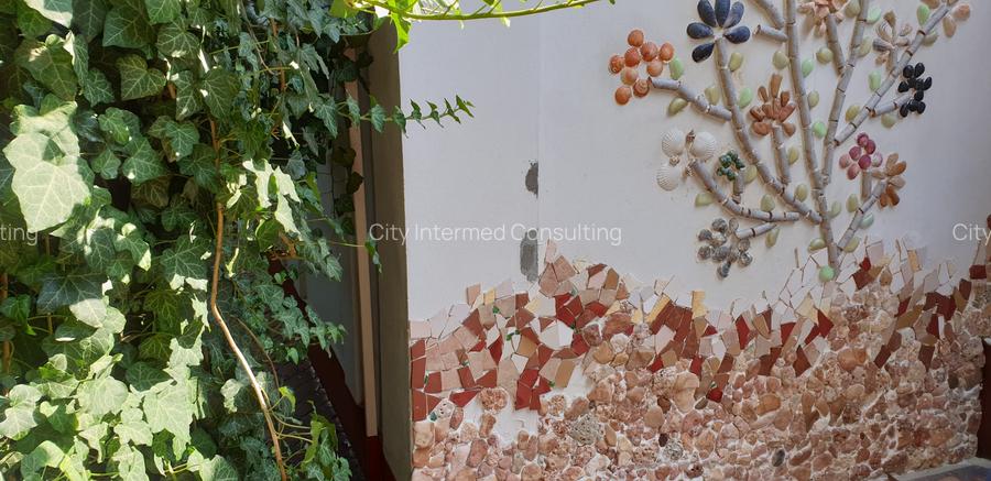 Vila desebita-POPA NAN- O oaza de liniste si verdeata in centrul orasului. - 14