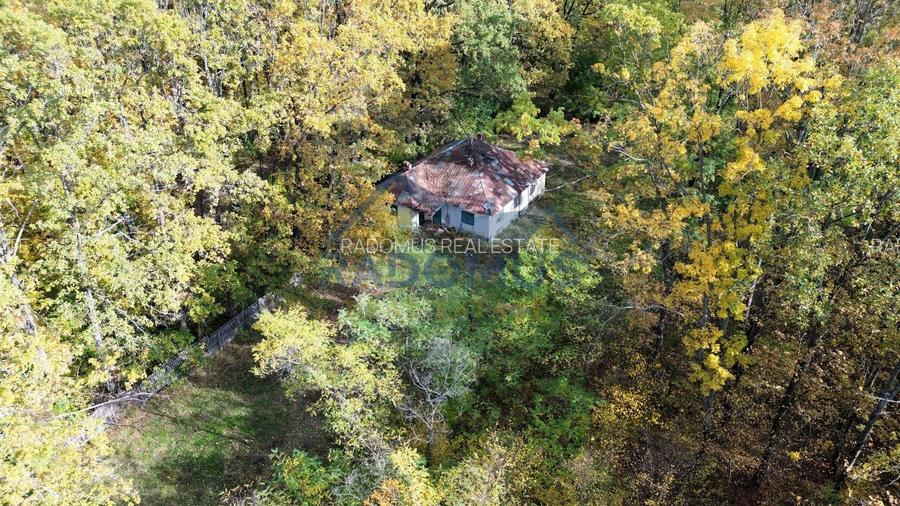 TEREN INTRAVILAN ÎN PĂDURE LA VĂRBILA - PRAHOVA – COMISION 0% - 2