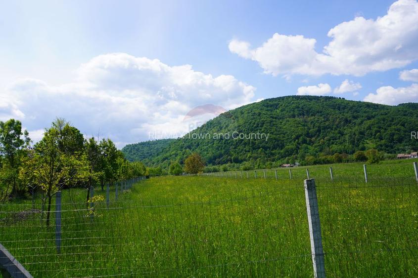 Teren 2,486mp Sighetu Marmatiei / Strada Constantin Dobrogeanu-Gherea - 5