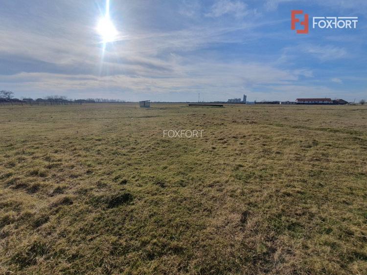 COMISION 0% Teren intravilan 6400 mp la drum asfaltat - Padureni - 10