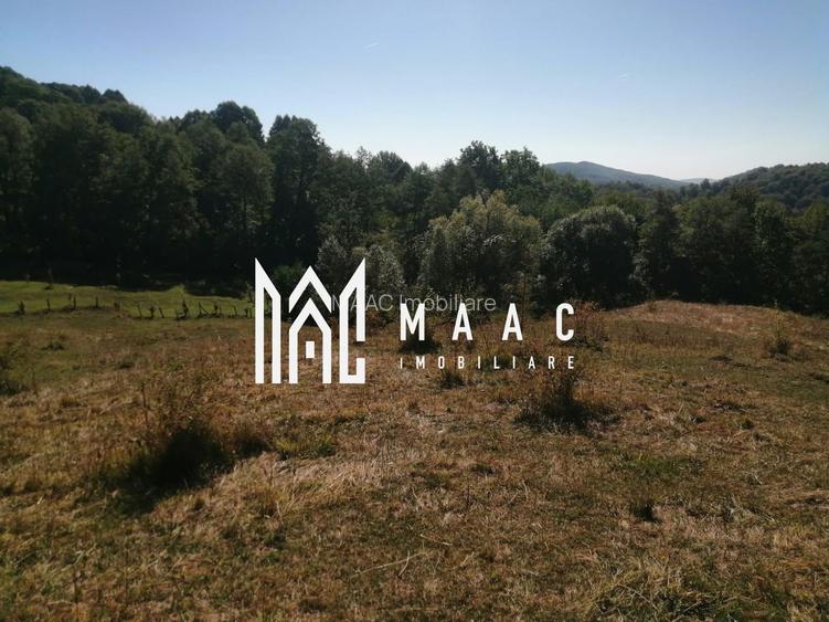 Teren Extravilan 20.000Mp I Stoenești -Vâlcea I Apă Curentă și Pădure - 4