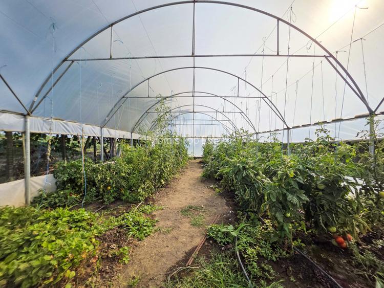 Ferma de vânzare – Oportunitate unică la doar 20 de minute de Constanța! - 24