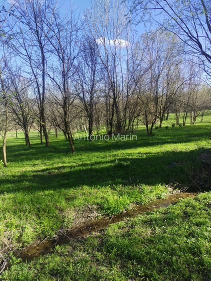 Teren intravilan com.Drajna, sat Cătunu, 12 km de Vălenii de Munte, jud. Prahova - 3