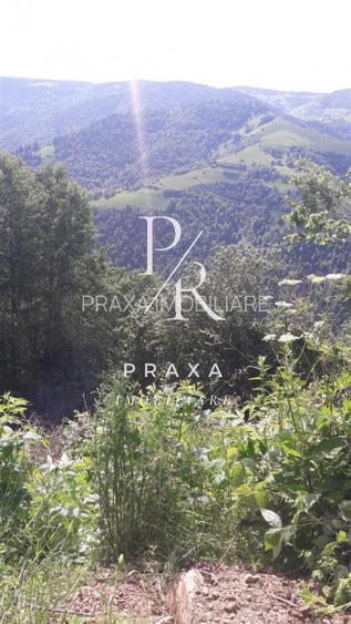 Teren de vanzare 10.000 mp/ parcelabil, cu utiitati, 4 euro/ mp! Maguri Racatau! - 10