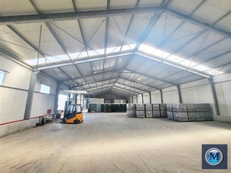Spatiu industrial de inchiriat, zona Exterior Vest, 1500 mp #16483 - 4