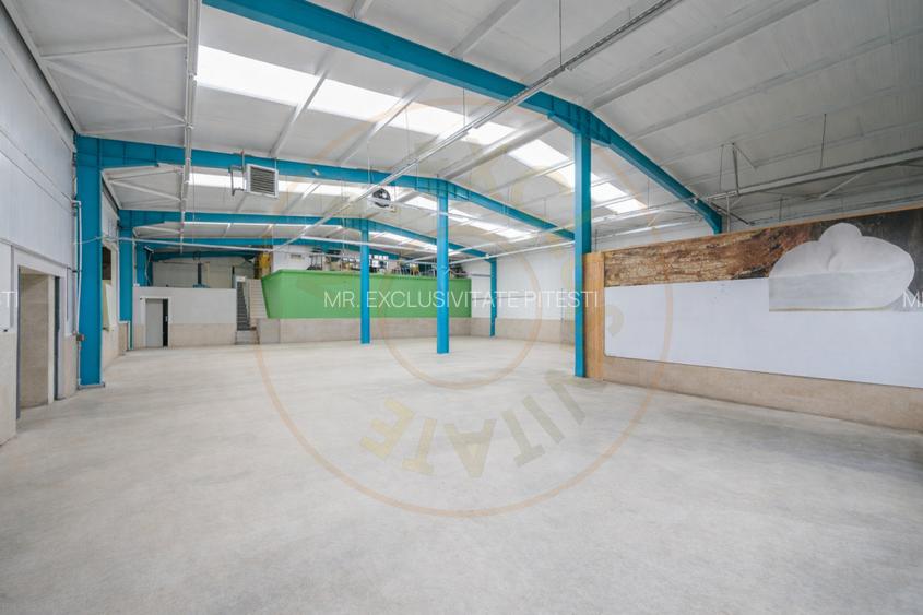 Hala industriala / spatiu comercial – VANZARE – DN 65B – Bradu-Pitesti! - 3