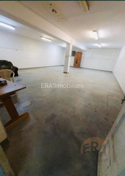 Hala de vanzare – Ineu, judetul Bihor - 4