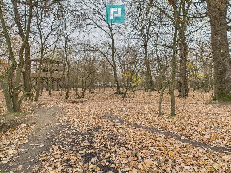 Teren spectaculos la  Periam Port - 21