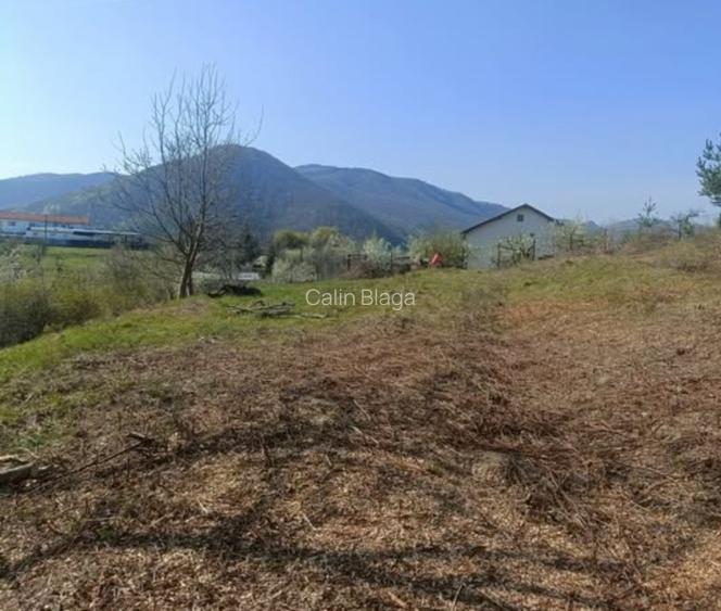 Teren cu vedere superbă in natură  - 4