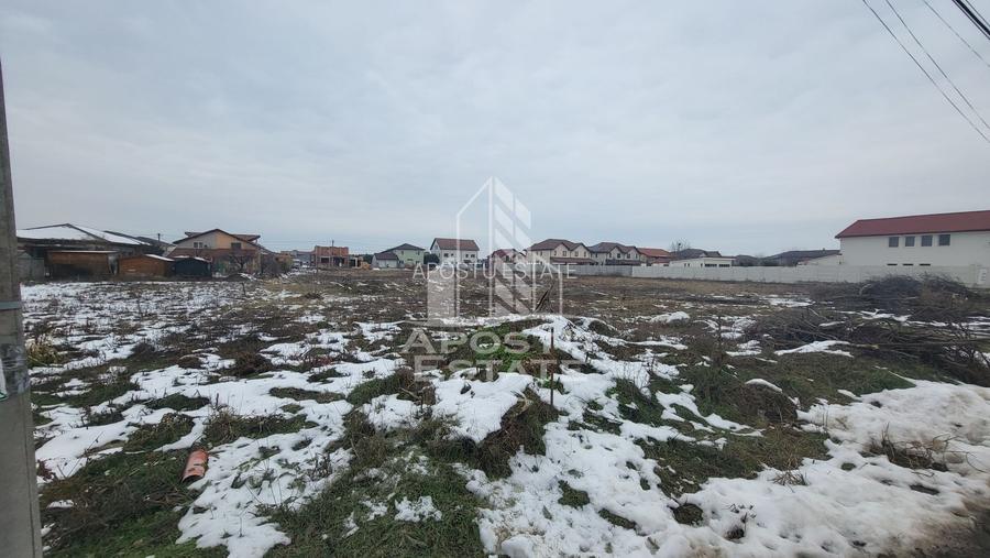 Teren intravilan Dumbravita,toate utilitatile si asfalt,988 mp - 2