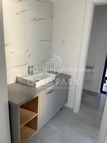 Spatiu de Birouri/Cladire de Birouri-Zona Europa-Garaj/Parcari/Curte - 10