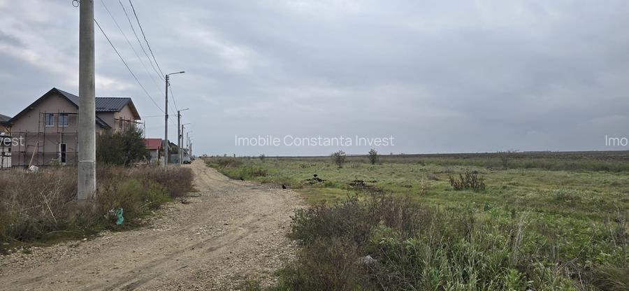 Agigea  Teren cu utilitatii 1 ha cu 500 ml deschidere la strada Crinului - 4