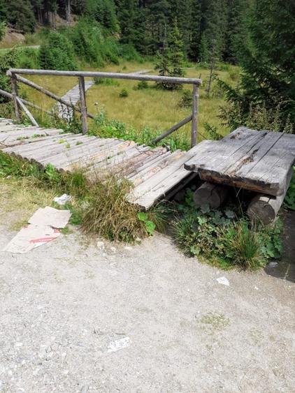 Teren Moroieni-Padina - 7