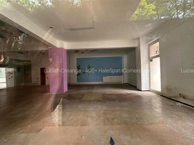 Spatiu comercial Nicolina Clopotari, zona Profi, 160mp - 3