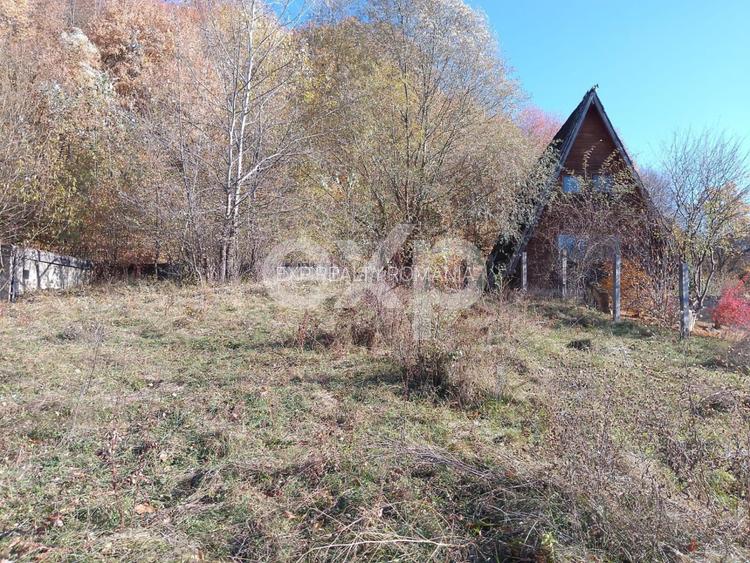 Teren de vânzare – 1250 mp Zona Românești, Vălenii de Munte - 2