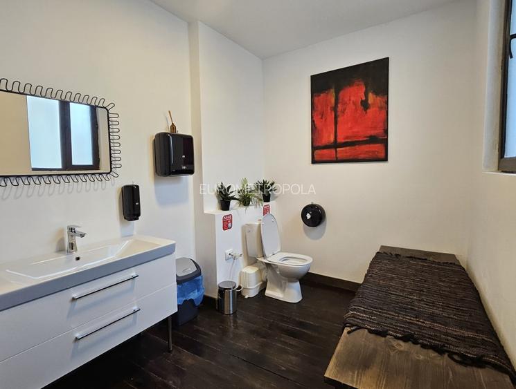 Vila cu arhitectura Cismigiu - 11