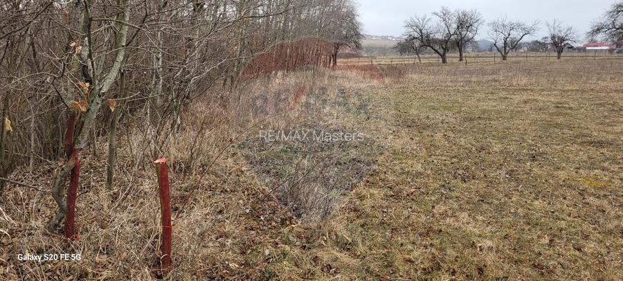 Teren 2925 mp comuna Mitocu Dragomirnei - 22