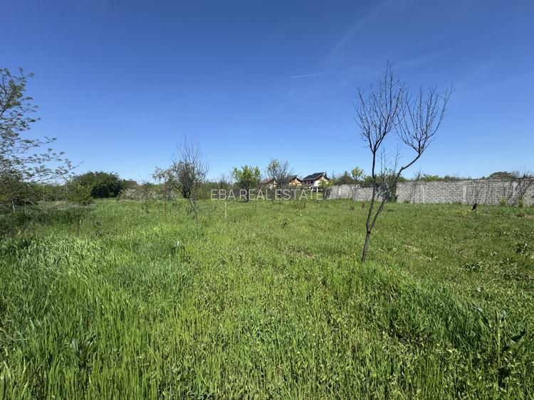 Teren Premium 2775mp Olteni – Utilități complete, la asfalt, potential ridicat - 2